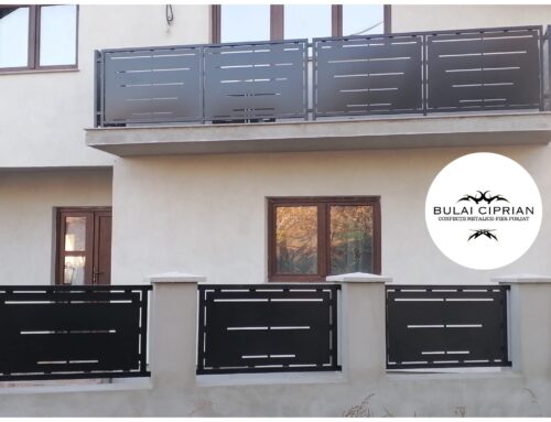 Gard metalic, balustrada balcon și scară interioară în comuna Săbăoani